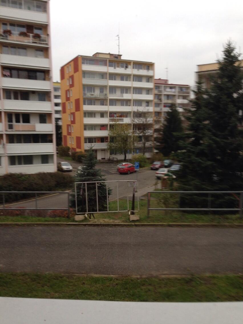 Výhled z domácí kanceláře.