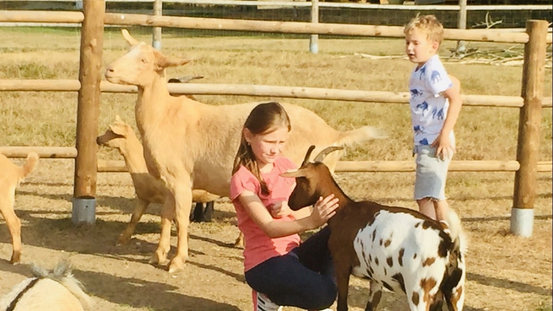 Fajnpark Chlumec nad Cidlinou