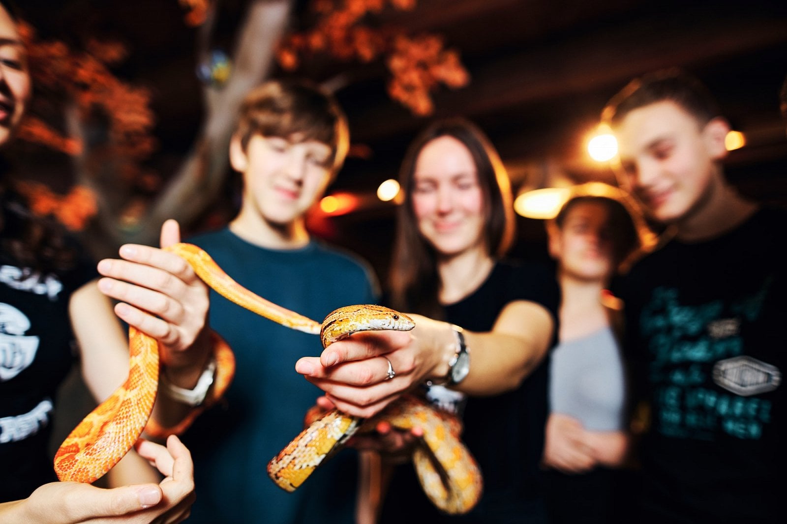 Pevnost poznání Olomouc - hadi