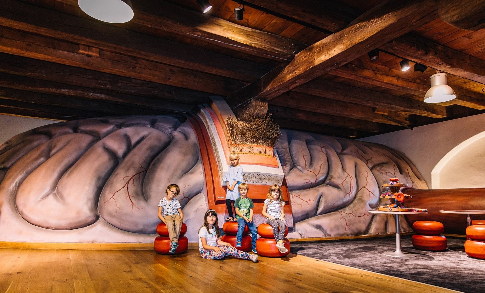 Pevnost poznání Olomouc - mozek