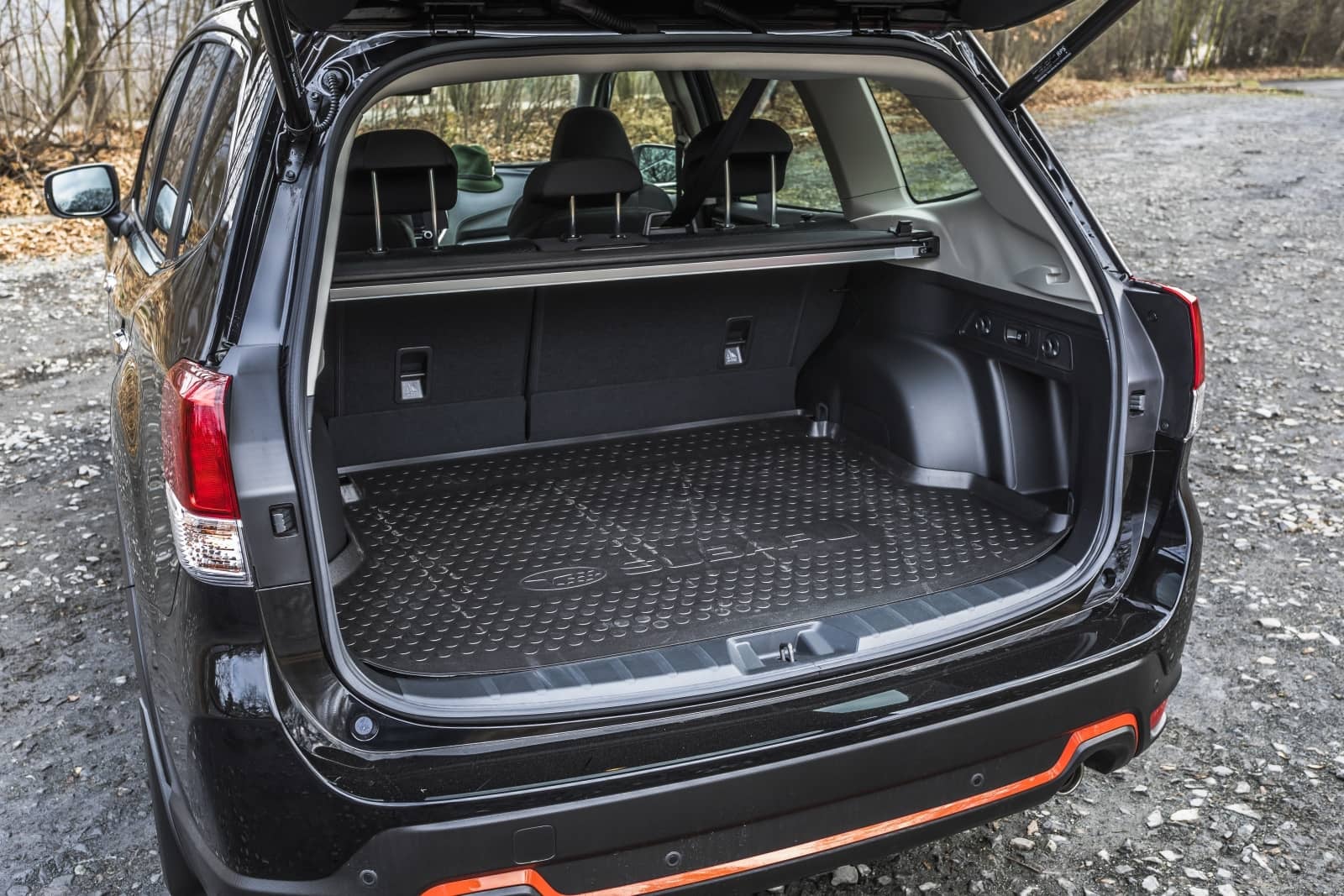 2020-04-aDMB2020_Forester-e-boxer-A7-6634.jpg