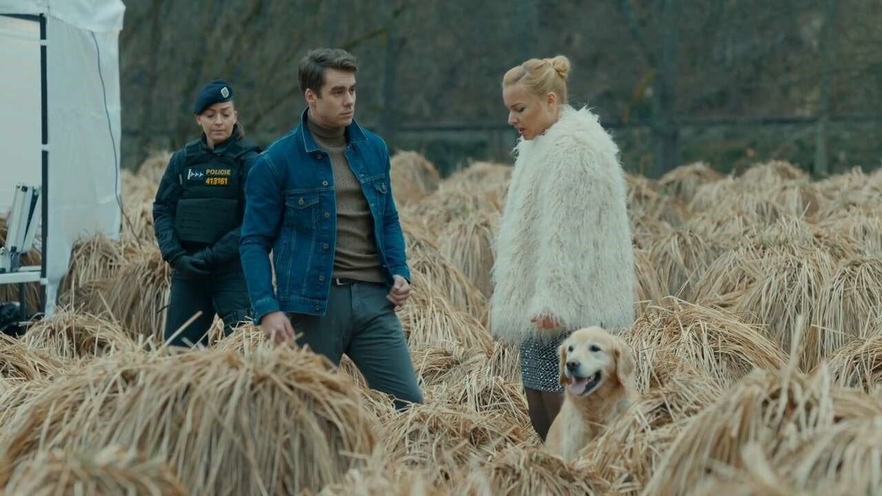 Tento krimiseriál nasadila Nova od poloviny ledna na čtvrteční večery. První díl přilákal 1,4 milionu diváků. Do finále seriál dospěl na konci února, poslední epizodu vidělo 841 tisíc lidí.