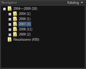 <p>Fotky jsou v katalogu setříděny podle času pořízení</p>