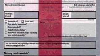 Náhledový obrázek - Počet pracovních neschopností loni rostl, ubylo prostonaných dnů