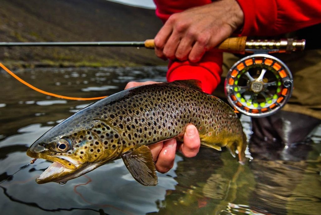 2015-06-bentayga-fly-fishing-by-mulliner-6.jpg