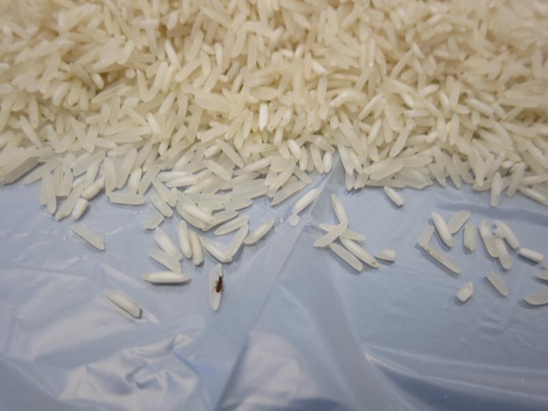 TESCO BASMATI Rice. Kategorie: Nebezpečné potraviny. Nevyhovující parametr: škůdci. 
Uvnitř balení se vyskytovali živí škůdci. Místo kontroly: Tesco Stores ČR a.s.
Zlín