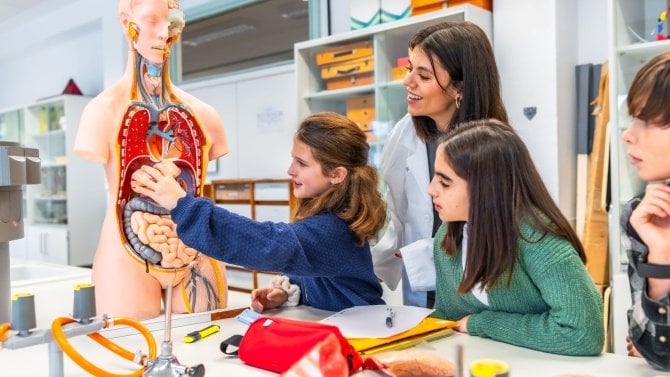 Vizuální test anatomie