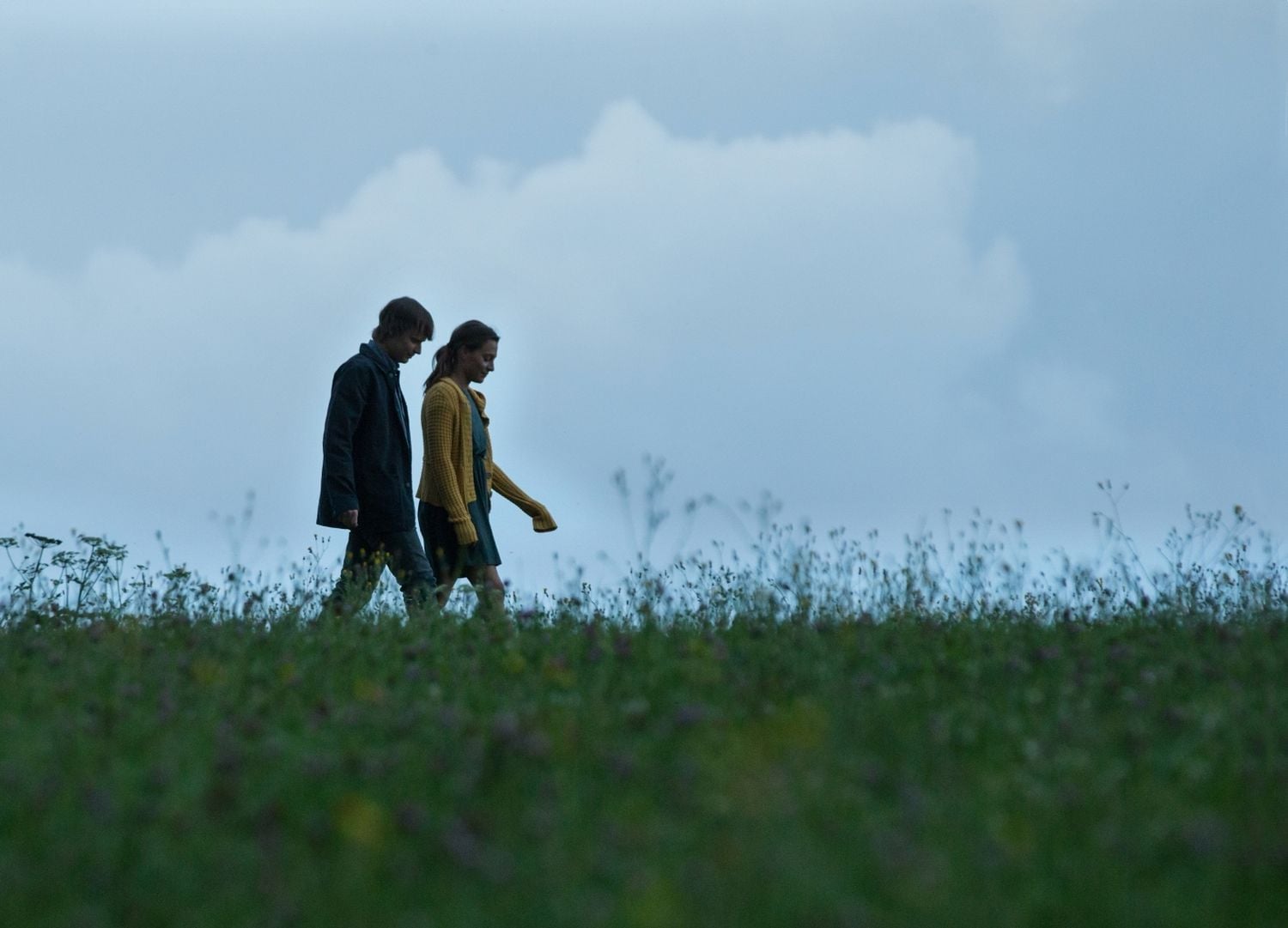 Vzteklina, ČT, 2017