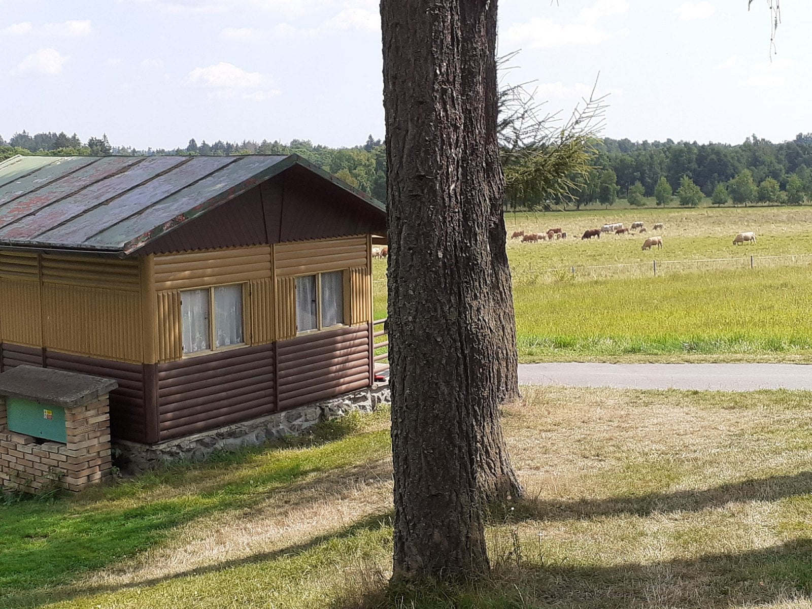 Camp Velkopařezitý Řásná