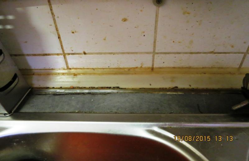 Restaurace u Kohoutů, Plzeň