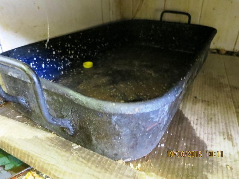 Restaurace u Kohoutů, Plzeň  