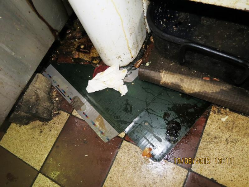 Restaurace u Kohoutů, Plzeň 