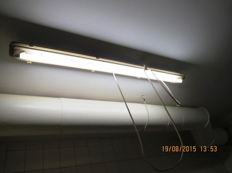 Restaurace u Kohoutů, Plzeň 