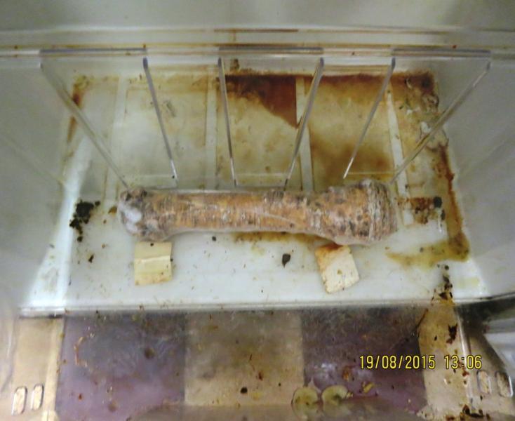 Restaurace u Kohoutů, Plzeň 