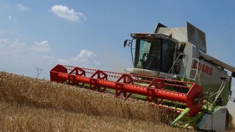 Náhledový obrázek - Čeští zemědělci hlásí rekordní produkci. Jejich celkový zisk se loni vyšplhal na 17,5 miliardy