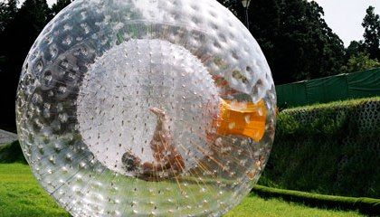 Zorbing