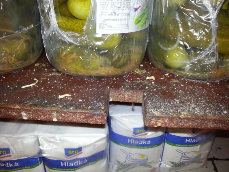 Ngoc Thao Pham, Cukrárna a Bufet Eva, rychlé občerstvení, Vsetín. Zjištěné skutečnosti: Výskyt myšího trusu, provozovna nezabezpečená před pronikáním škůdců, výrazně zanedbaný úklid, znečištěné kuchyňské náčiní, výrazné znečištění všech prostor, nečistoty na stěnách, podlaze a na regálech či zařízeních, poškození stěn a stropu, riziko kontaminace potravin z důvodu nevyhovujících prostor, nevhodně skladované potraviny