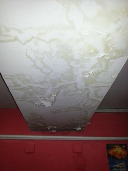 Ngoc Thao Pham, Cukrárna a Bufet Eva, rychlé občerstvení, Vsetín. Zjištěné skutečnosti: Výskyt myšího trusu, provozovna nezabezpečená před pronikáním škůdců, výrazně zanedbaný úklid, znečištěné kuchyňské náčiní, výrazné znečištění všech prostor, nečistoty na stěnách, podlaze a na regálech či zařízeních, poškození stěn a stropu, riziko kontaminace potravin z důvodu nevyhovujících prostor, nevhodně skladované potraviny