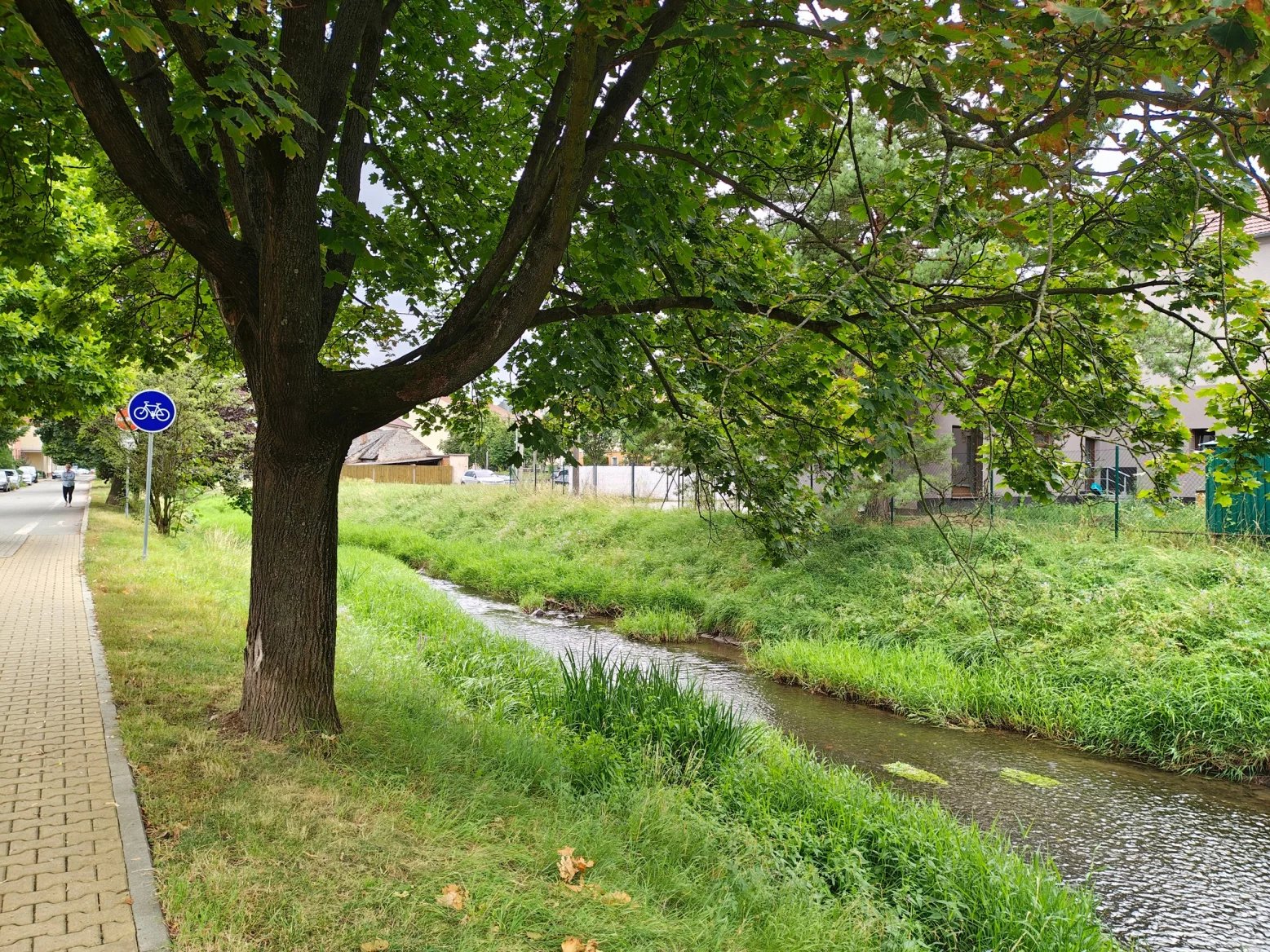 Hlavní 50Mpx fotoaparát