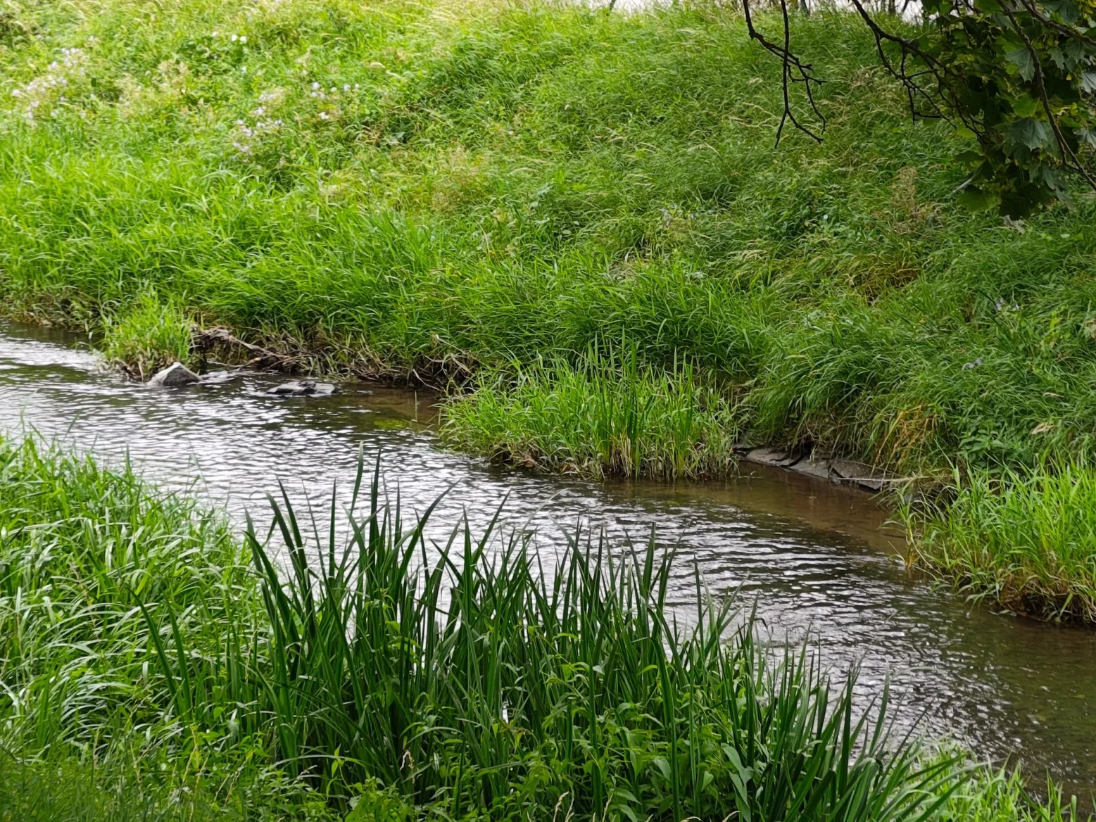 4násobný digitální zoom