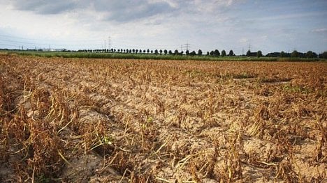 Náhledový obrázek - Stát pouze mluví, se suchem reálně nepomáhá, kritizují vládu zemědělci