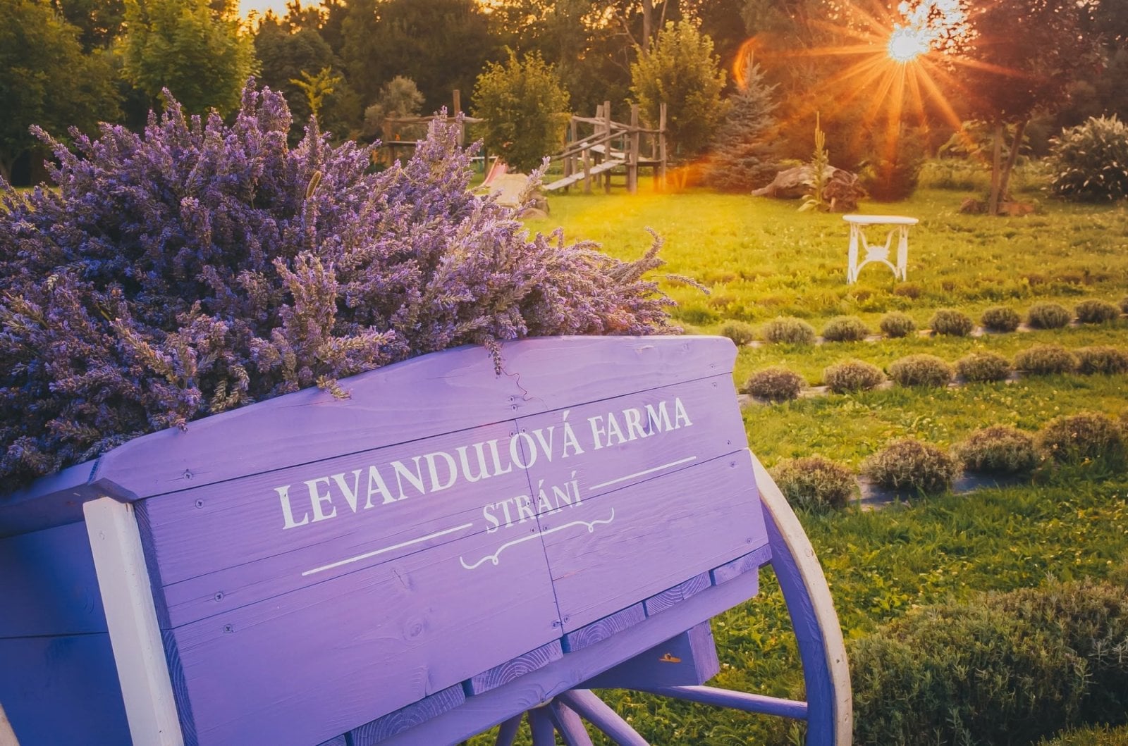 Na Levandulové farmě Strání