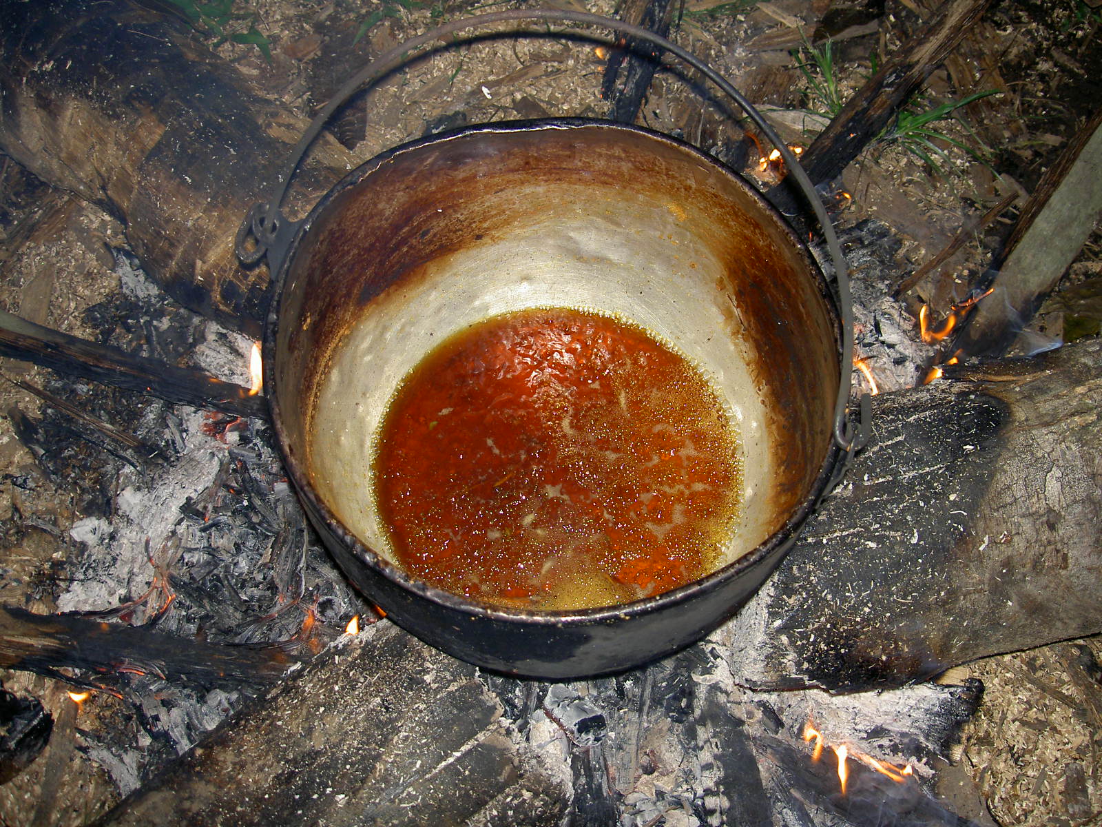 Ayahuasca - liána smrti