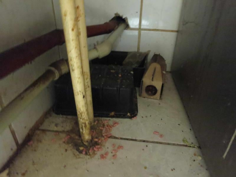 Věra Kasíková, Restaurace U Páva, Kladno. Uzavřena pouze část provozovny. Zjištěné skutečnosti: Výskyt myšího trusu, provozovna nezabezpečená před pronikáním škůdců, výrazně zanedbaný úklid, znečištěné kuchyňské náčiní, výrazné znečištění všech prostor ad.