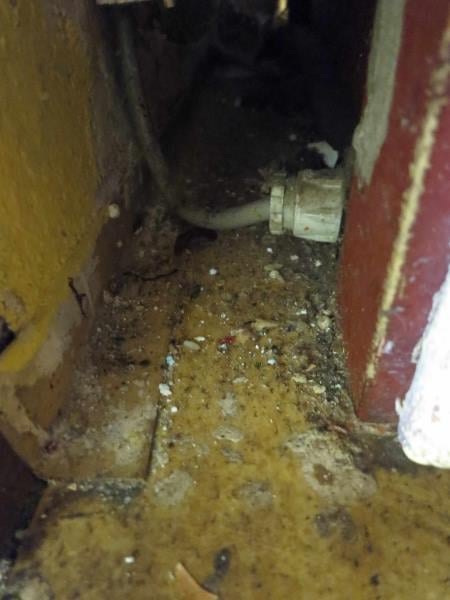 Věra Kasíková, Restaurace U Páva, Kladno. Uzavřena pouze část provozovny. Zjištěné skutečnosti: Výskyt myšího trusu, provozovna nezabezpečená před pronikáním škůdců, výrazně zanedbaný úklid, znečištěné kuchyňské náčiní, výrazné znečištění všech prostor ad.