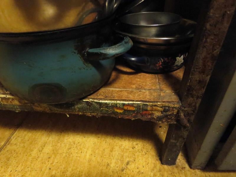 Věra Kasíková, Restaurace U Páva, Kladno. Uzavřena pouze část provozovny. Zjištěné skutečnosti: Výskyt myšího trusu, provozovna nezabezpečená před pronikáním škůdců, výrazně zanedbaný úklid, znečištěné kuchyňské náčiní, výrazné znečištění všech prostor ad.