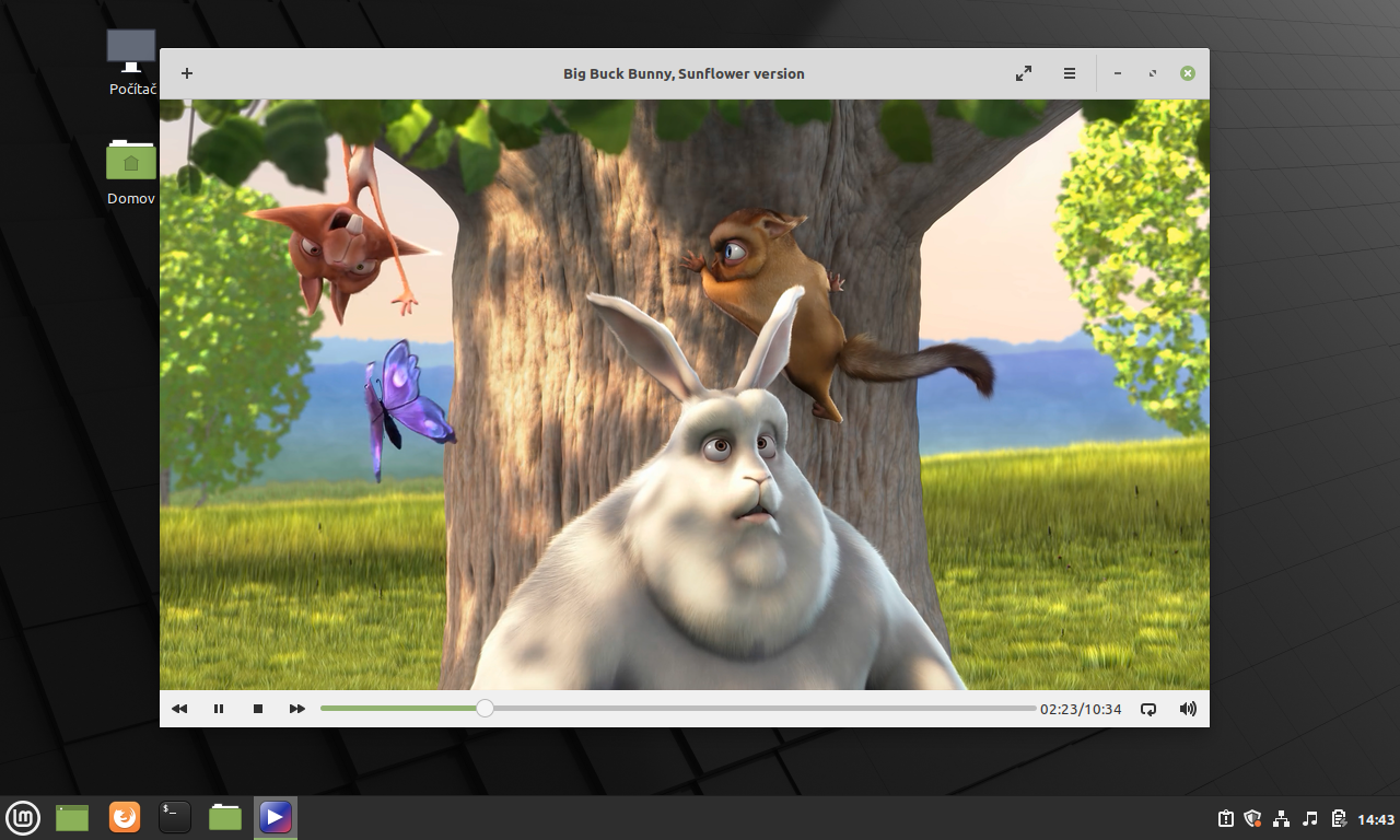 Linux Mint 20 „Ulyana“ Cinnamon