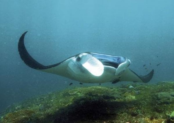 2012-04-znepc599c3a1telit-si-bohy-na-bali-se-nevyplc3a1cc3ad-4.j