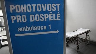 Náhledový obrázek - Plzeňský kraj vydá na pohotovosti 130 mil. Kč, téměř dvakrát více