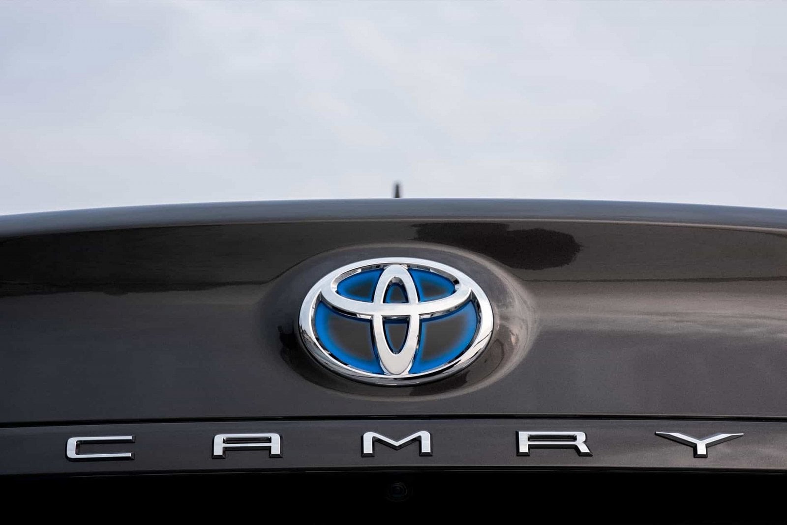 2019-04-Camry_2019_061.jpg