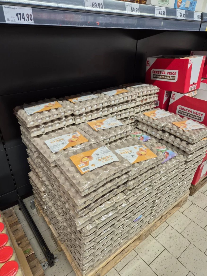 Cena vajec v Kauflandu