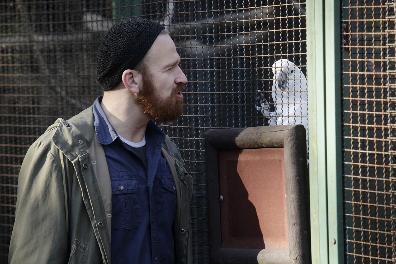 Pět mrtvých psů od Jana Hřebejka