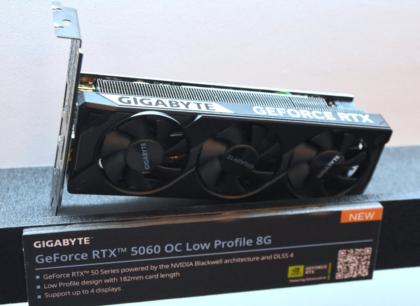 GeForce RTX 5060 OC Low Profile 8G