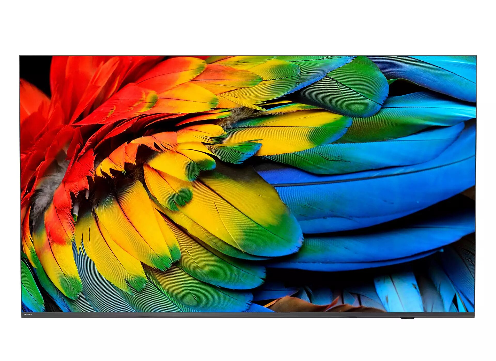 Hotelový televizor Philips