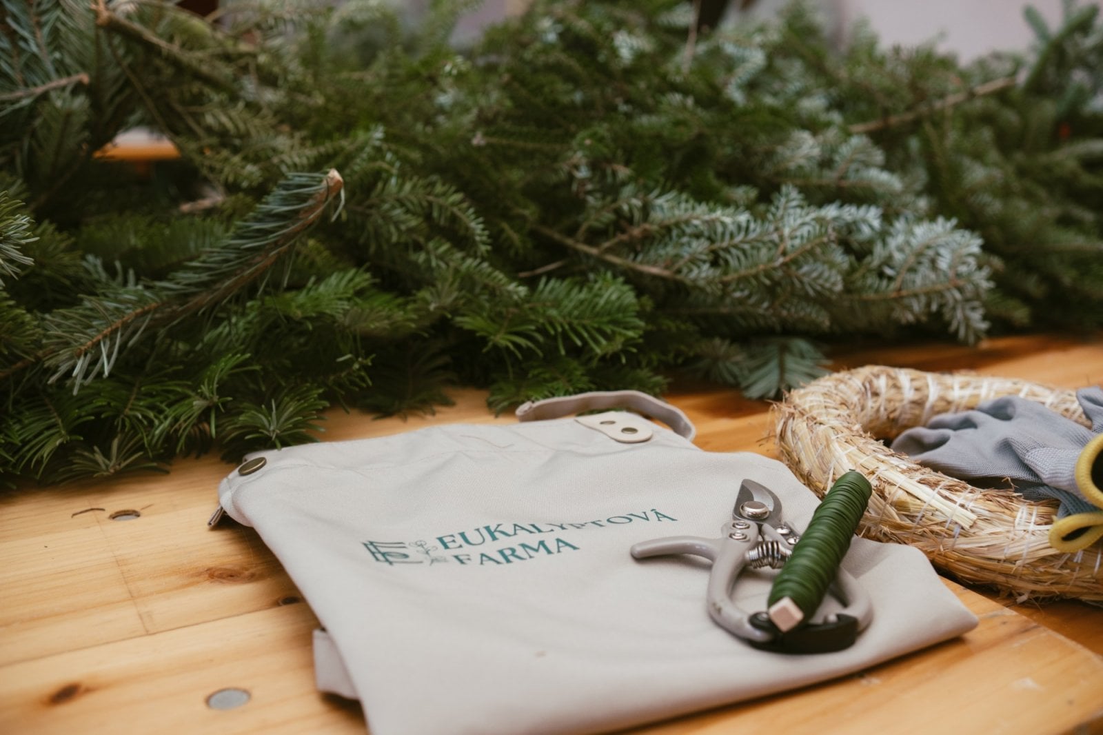 Přípravy na workshop na Eukalyptové farmě