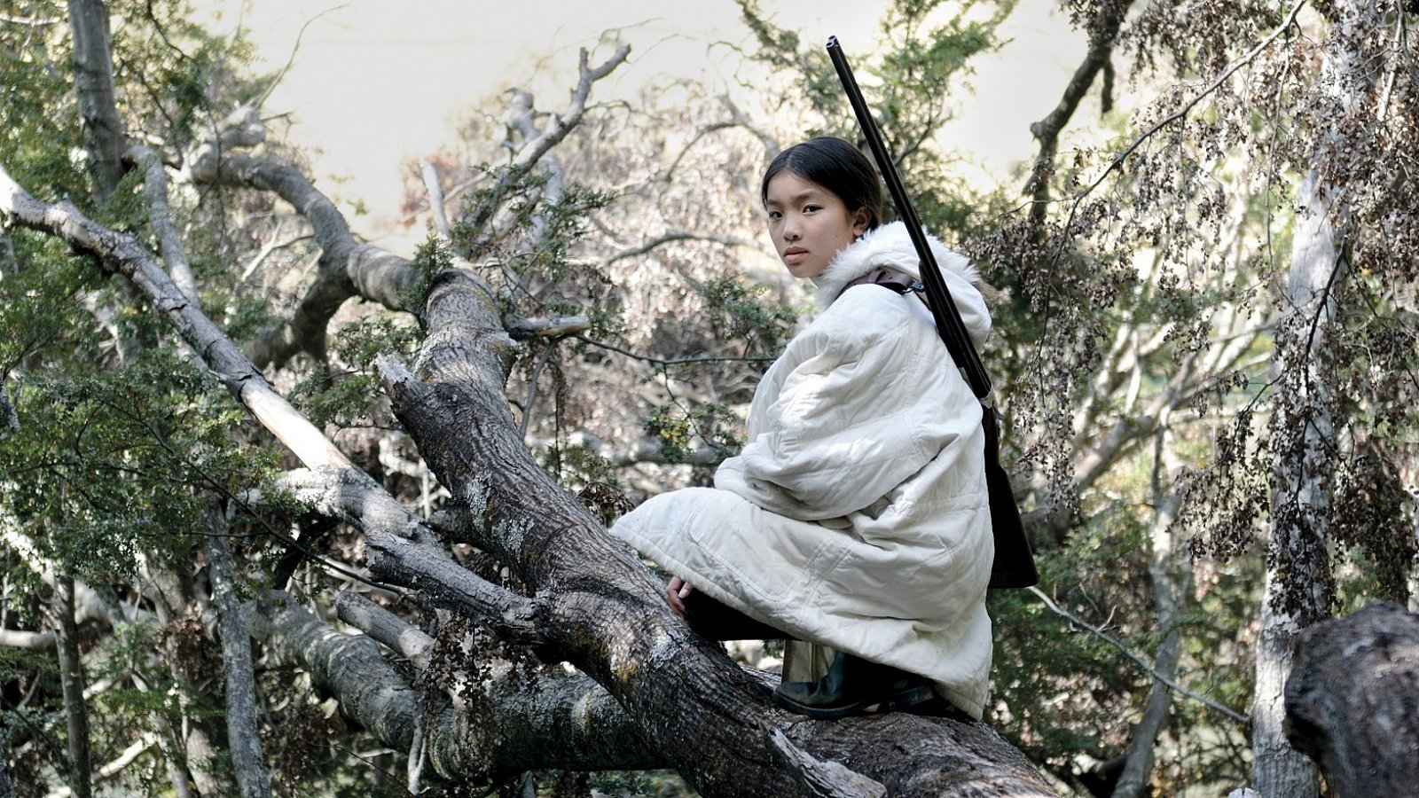 Atraktivní akviziční seriály v roce 2016 na obrazovce ČT