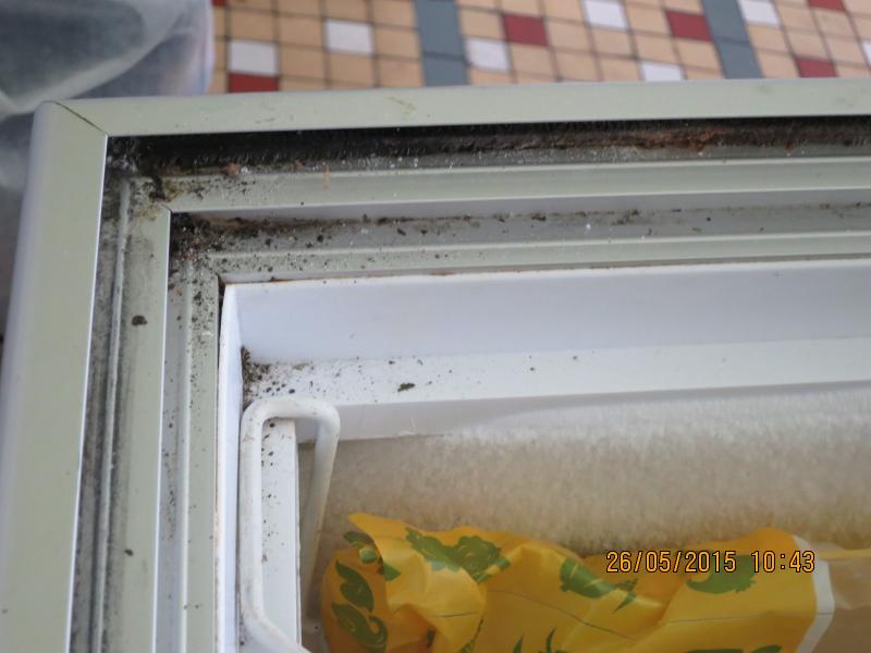 Restaurace Čerchovanka, Horšovský Týn