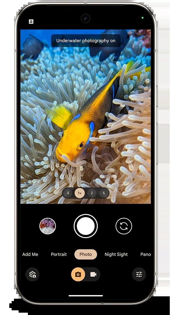 Automatická detekce podvodních fotografií a jejich vylepšená kvalita