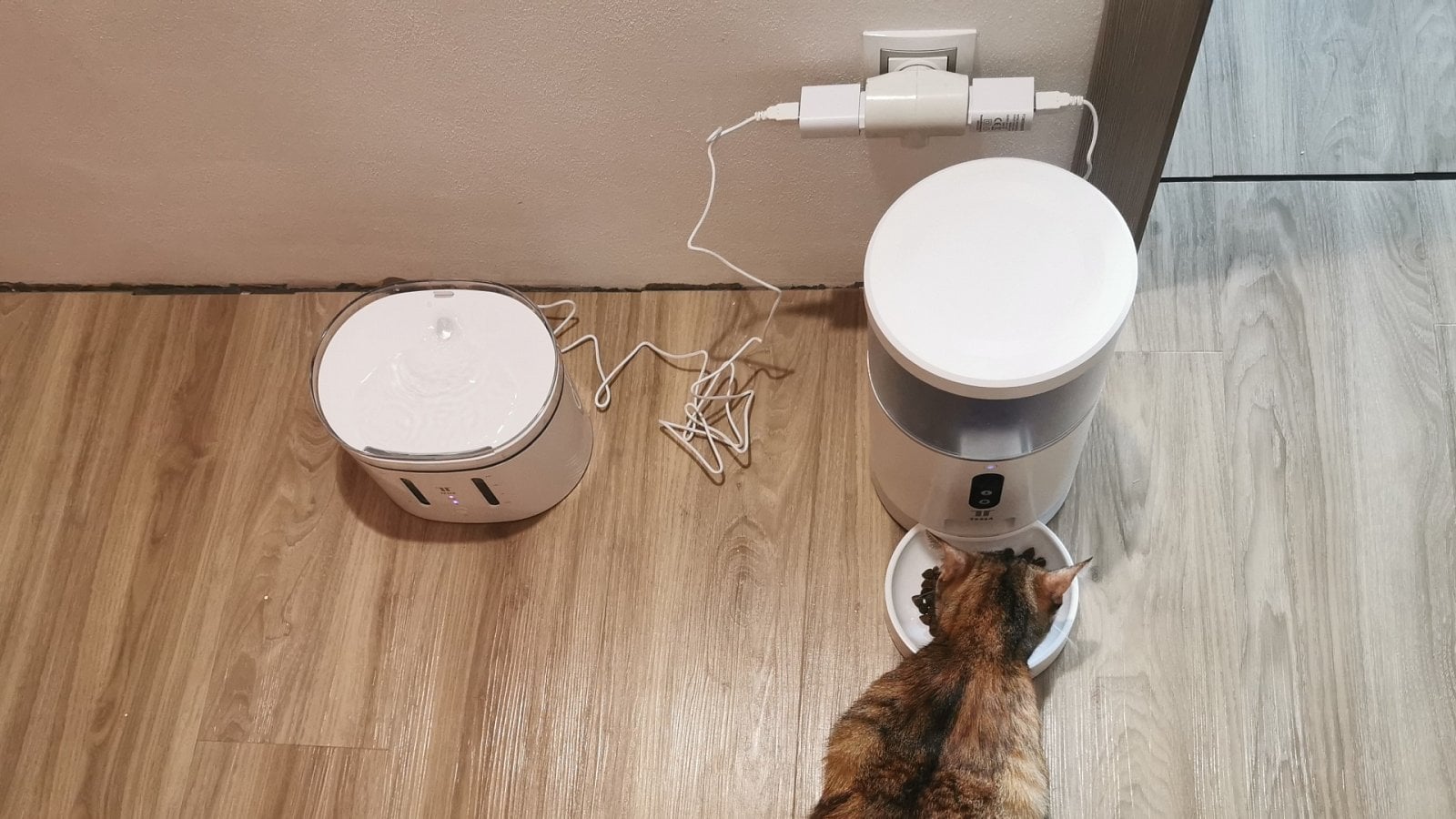 2021-08-Tesla-Smart-Pet-Feeder-Camera-recenze8.jpg