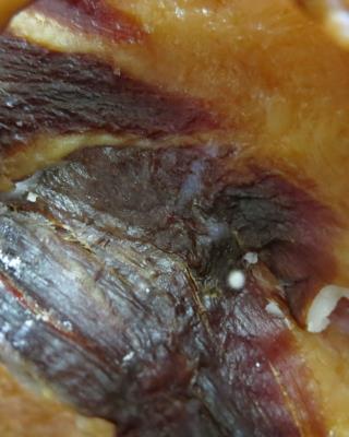 Slanina. Kategorie: Nebezpečné potraviny. Nevyhovující parametr: plísně okem viditelné. Na povrchu potraviny se vyskytovala plíseň. Místo kontroly: Tung Bui Quang, Teplice nad Metují