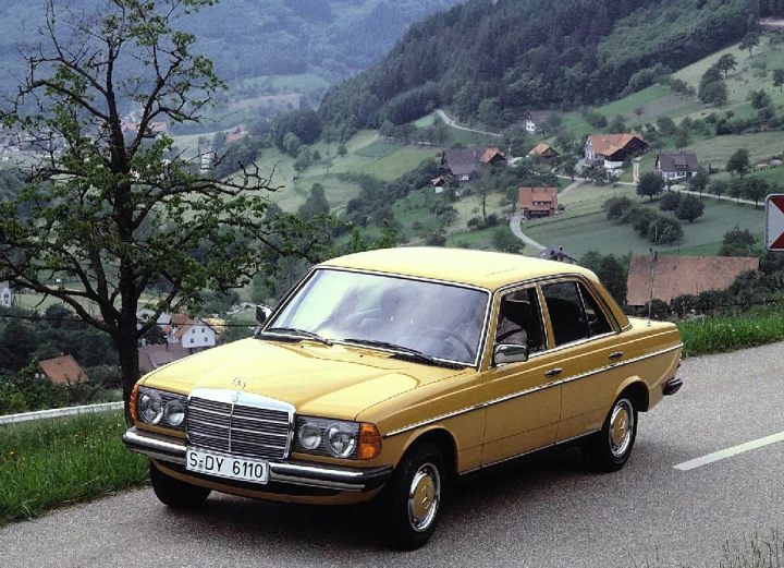 Mercedes-Benz řady W123 byl nejčastějším objektem individuálních objednávek, výrobce pravidelně prodal i všechny své veletržní exponáty