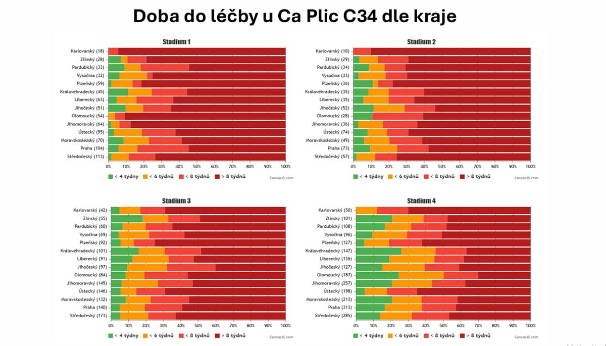 Cesta péče pacienta s rakovinou plic