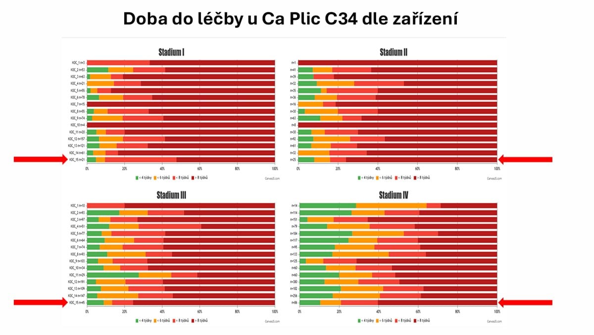 Cesta péče pacienta s rakovinou plic