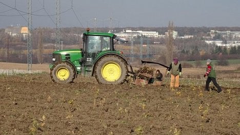 Náhledový obrázek - Praha chce mít zelenější okraje. Vysazuje les