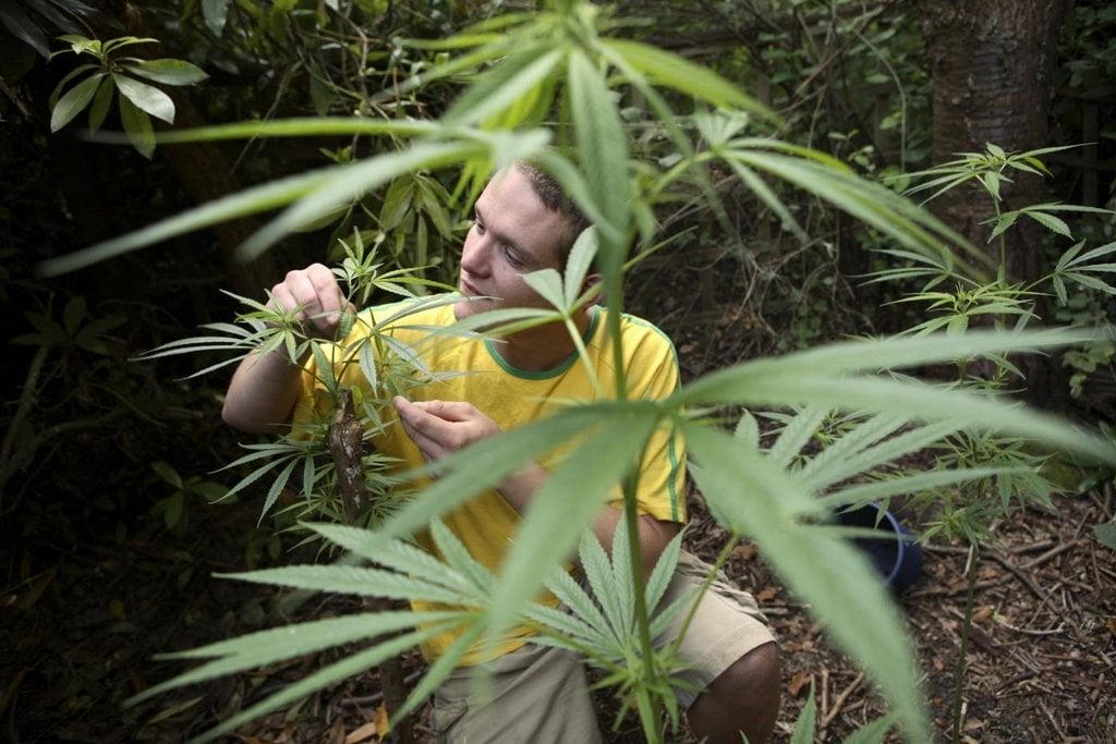 2016-01-luxusnc3ad-squatting-v-domech-londc3bdnskc3bdch-bohc3a1c