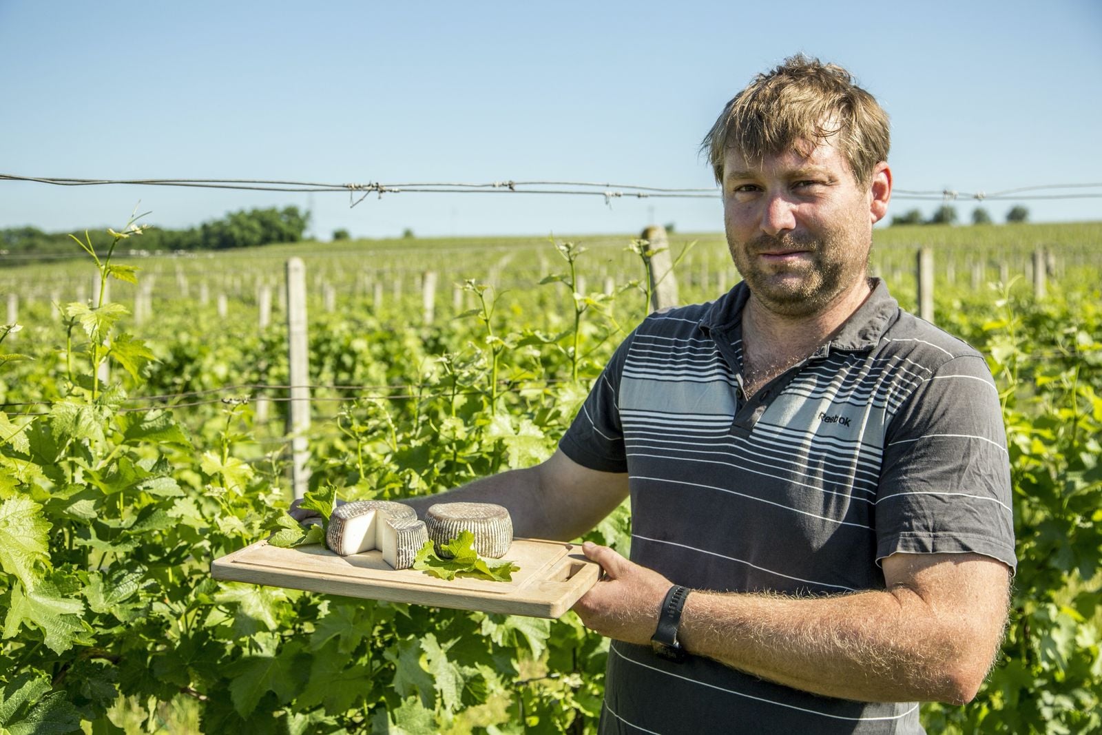 Sýrárna a kozí farma Jezeřany-Maršovice